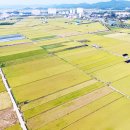 함안군 농업기술센터 이미지