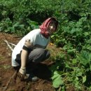 임해농장 이미지