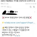 여돌 딥페이크 연검 정화 이용하려는 한남들 이미지