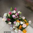 꼼지꼼지화원 이미지