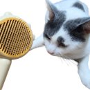 그루밍도그 이미지