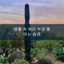 성남선의원 이미지