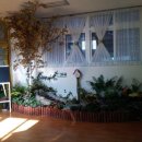 당감초등학교 병설유치원 이미지