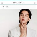 티파니앤코 홈페이지 들어갈때마다 존나 기분 언짢아 이미지