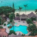 스위트 피피 이미지