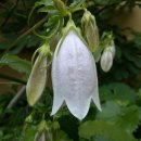 솔빛학교 이미지