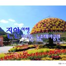 진안마이돈 이미지