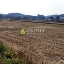 동호리 농장 이미지