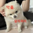 역전할머니맥주조선대점 | 진짜 개강해부럿다 ~