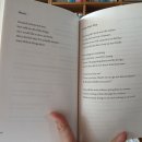 6838 | 엄청 바쁜 중학생을 위한 짧은 양서 The Poet X