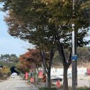 용유로 | 인천맛집 거해짬뽕순두 내돈내산 후기 - 유명한 이유가 있음,영종도 맛집 추천