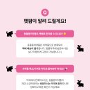 대구수성동물약국 이미지