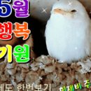 윤병수