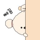 부가레더