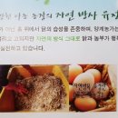 광천다농농장 이미지
