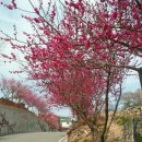 순천의료원공원 이미지