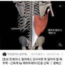 이상진 | [잠실나루PT] 로그짐&amp;PT 잠실나루점 이상진 트레이너님의 이해하기 쉬운 등운동 PT 솔직 후기!