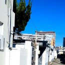 금정구새마을금고노동조합 | [飮食] 부산 금정구 온천장역, 부산대 근처 🍝파스타와 리조또가 맛있는 [우디] 내돈내산 후기🍀