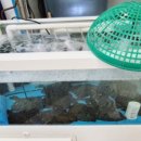 서인천월드메르디앙아파트 맞은편 이미지