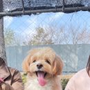 태안 오션힐 리조트