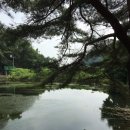 초리저수지 이미지