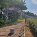 금은모래 캠핑장 이미지