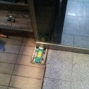 상록수공업사 이미지