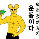 241GYM 이미지