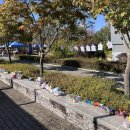 한국남동발전 빛뜰어린이집 이미지