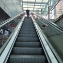 진도종합식품 이미지