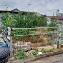 세림카센타 이미지