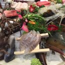 항도회센타 이미지