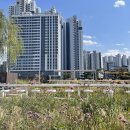 하늘정원 이미지