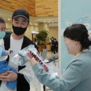 솔솔바람 이미지