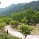 금대에코힐링캠핑장(주차장) 이미지