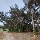 경주남산한의원 이미지