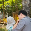 서울숲 커뮤니티센터(2층) 화장실 | 서울숲 포켓몬 시크릿 포레스트 위치 입장 실패 밖에서 본 후기 주차장 꿀팁