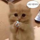 영점일 이미지