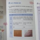 이희수소아청소년과 | [인생 31일차 봄봄이] BCG 피내용 접종 - 이희수 소아청소년과 의원