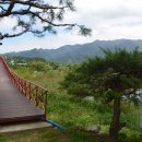 바위섬식당 이미지