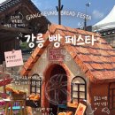 [강릉] 2026 강릉 빵 페스타 실시간 방문 후기! 라인업, 영수증 이벤트, 주차 총정리