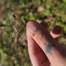 13강 산야초의 활용산야초비누 만들기자운유를 활용한 저온숙성비누 만들기 이미지
