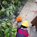 자연앤팜 이미지