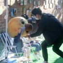 사단법인 꼭두 이미지