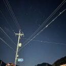 여기,초록 이미지