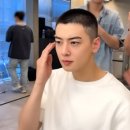 차은우 카카오 검색결과