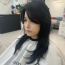 청담동 미용실 추천 커티즘바이 청담 커트 잘하는 미용실 후기