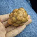 송산포도로 | [리뷰] 송산포도휴게소 '송산포도 호두과자' 솔직후기 : 포도맛은 어디에?