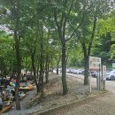 대전근교 계곡 금산 남이자연휴양림 평상 대여 후기