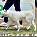 수컷 이미지